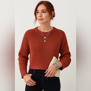 Ambiance Rust Red Knit Cropped  Sweater Lace -Up Tie Back Pullover SIze Large